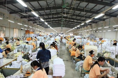 Dệt Nam Long sản xuất khăn khổ rộng nhất ở Việt Nam